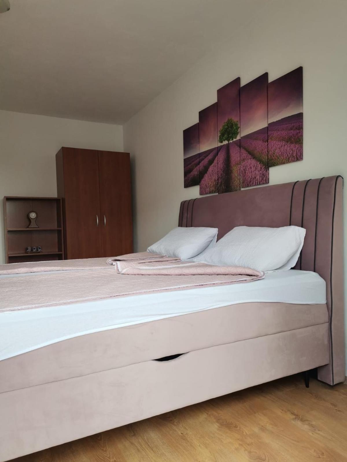 Apartman Franc Zadar Dış mekan fotoğraf